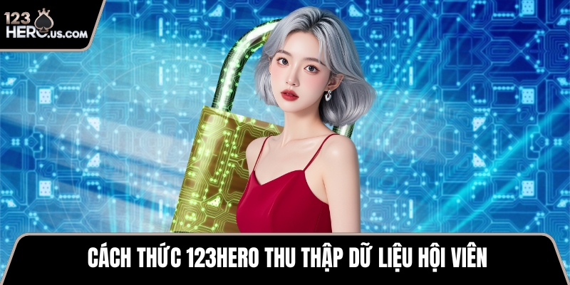 Cách thức 123HERO thu thập dữ liệu hội viên